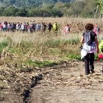 dia-mundial-enoturismo-viana-castelo dia-mundial-enoturismo-viana-castelo